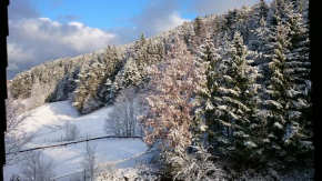 Гостиница Waldblick, Байрсброн